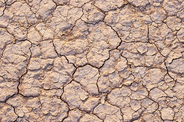 Cracked, dry earth in the U.S. Southwest, illustrating persistent Southwest drought conditions.