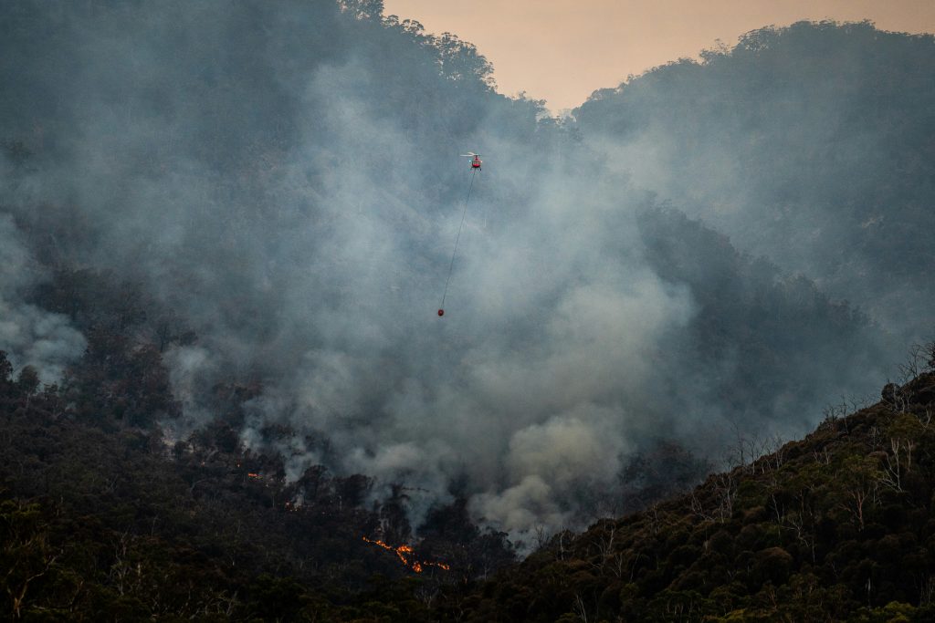 A burning forest depicting an active, intense wildfire, representing the type of event analyzing by the wildfire prediction model.